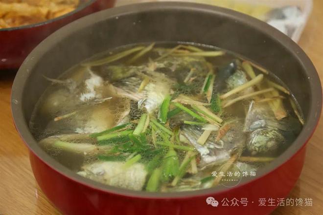 野外钓的搞个鱼汤是什么生肖与警惕虚假宣传-全面释义、详细解答解释落实